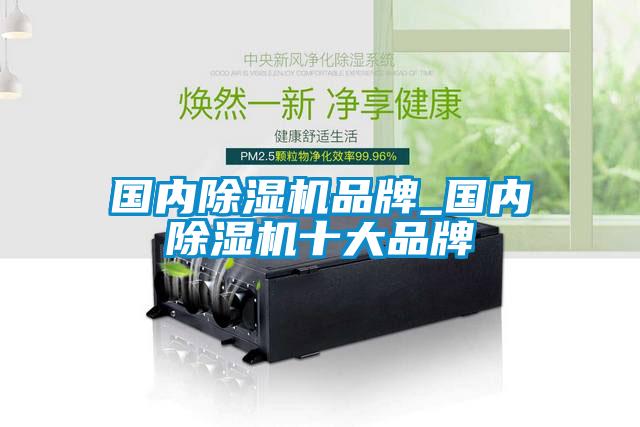 國(guó)內(nèi)除濕機(jī)品牌_國(guó)內(nèi)除濕機(jī)十大品牌