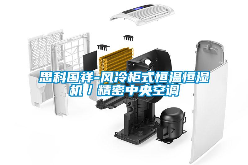 思科國祥-風冷柜式恒溫恒濕機／精密中央空調