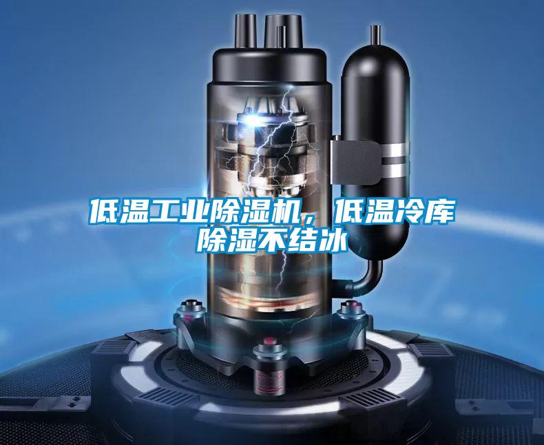 低溫工業(yè)除濕機，低溫冷庫除濕不結冰