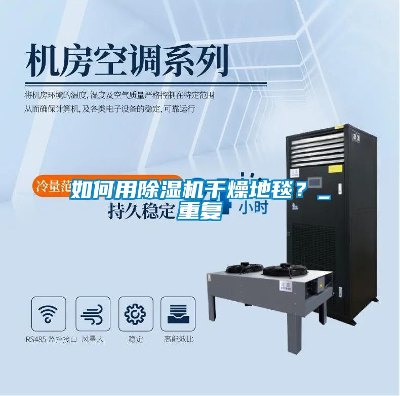 如何用除濕機干燥地毯？_重復