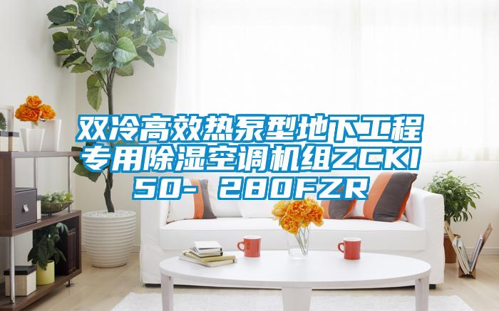 雙冷高效熱泵型地下工程專用除濕空調機組ZCKI50- 280FZR