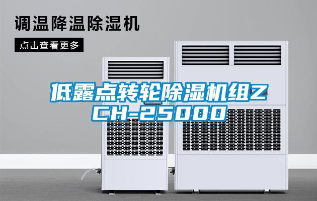 低露點轉輪除濕機組ZCH-25000
