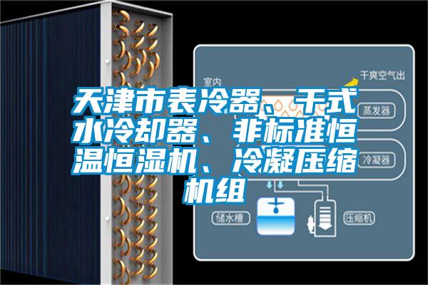 天津市表冷器、干式水冷卻器、非標準恒溫恒濕機、冷凝壓縮機組