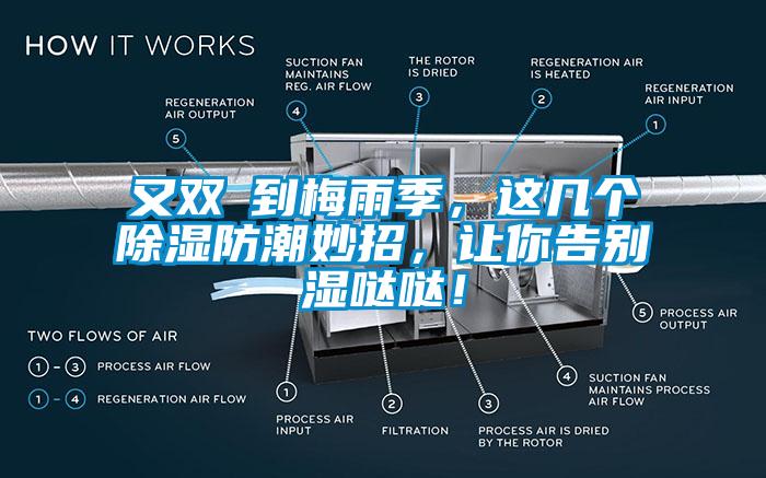 又雙叒到梅雨季，這幾個除濕防潮妙招，讓你告別濕噠噠！