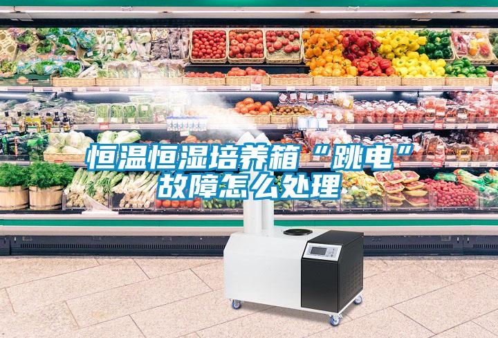 恒溫恒濕培養箱“跳電”故障怎么處理