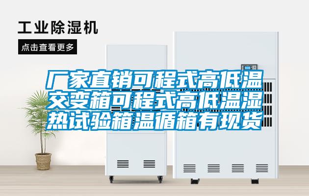 廠家直銷可程式高低溫交變箱可程式高低溫濕熱試驗箱溫循箱有現貨