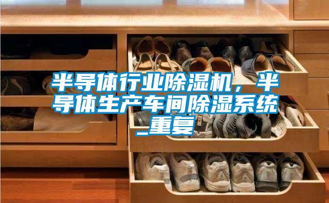 半導體行業除濕機，半導體生產車間除濕系統_重復