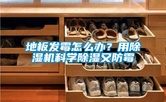 地板發(fā)霉怎么辦？用除濕機(jī)科學(xué)除濕又防霉