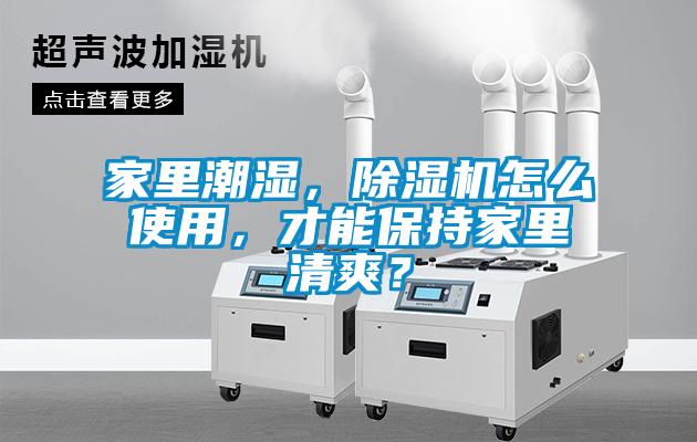 家里潮濕，除濕機怎么使用，才能保持家里清爽？