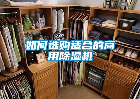 如何選購適合的商用除濕機