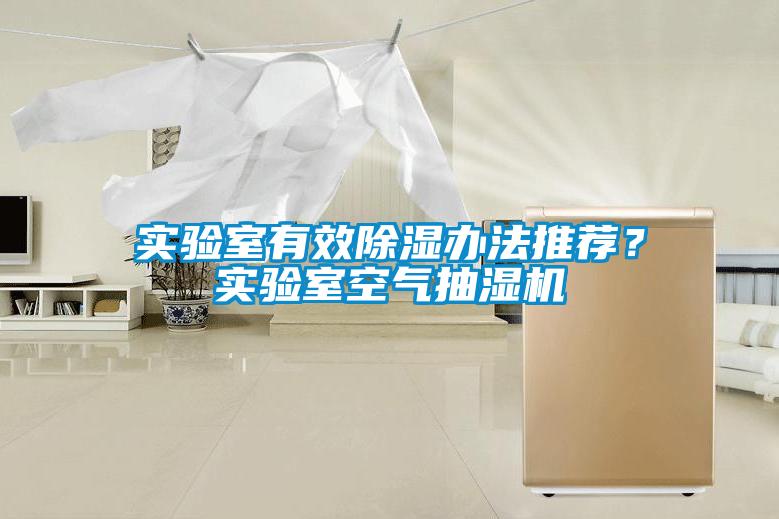 實驗室有效除濕辦法推薦？實驗室空氣抽濕機