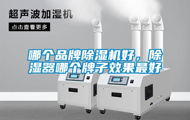哪個品牌除濕機好，除濕器哪個牌子效果最好