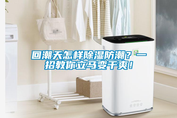 回潮天怎樣除濕防潮？一招教你立馬變干爽！