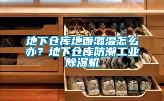 地下倉庫地面潮濕怎么辦？地下倉庫防潮工業除濕機