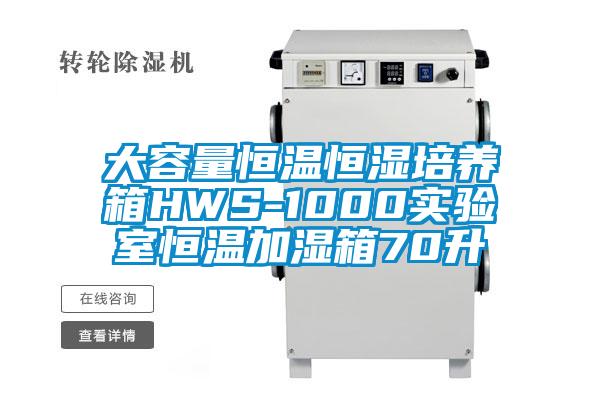大容量恒溫恒濕培養(yǎng)箱HWS-1000實(shí)驗(yàn)室恒溫加濕箱70升