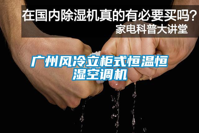 廣州風冷立柜式恒溫恒濕空調機