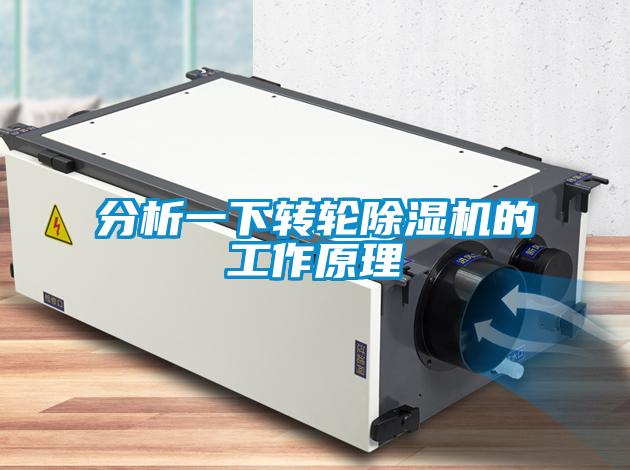 分析一下轉輪除濕機的工作原理