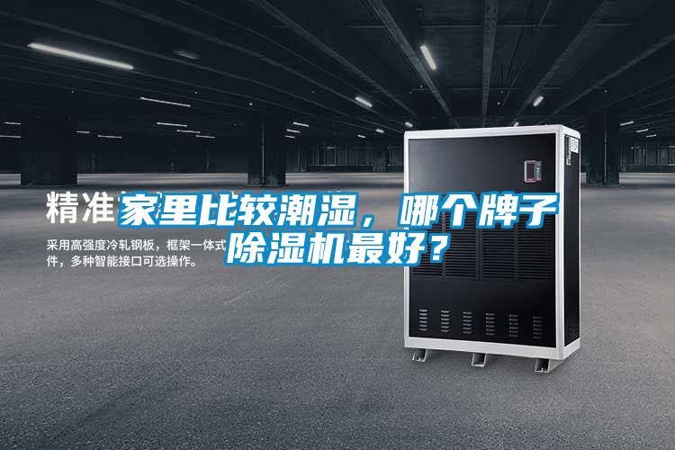 家里比較潮濕，哪個牌子除濕機最好？