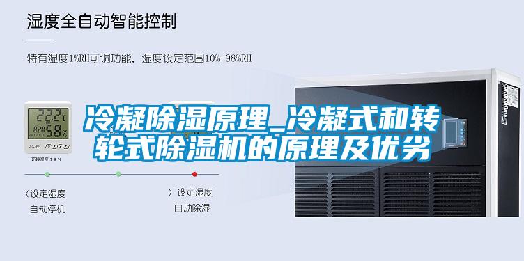冷凝除濕原理_冷凝式和轉輪式除濕機的原理及優劣