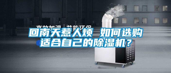 回南天惹人煩 如何選購適合自己的除濕機？
