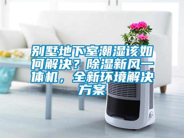 別墅地下室潮濕該如何解決？除濕新風一體機，全新環境解決方案