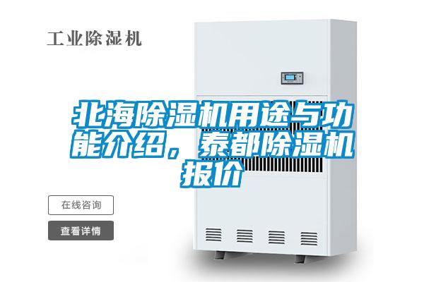 北海除濕機用途與功能介紹，泰都除濕機報價