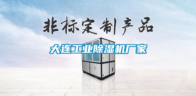 大連工業除濕機廠家