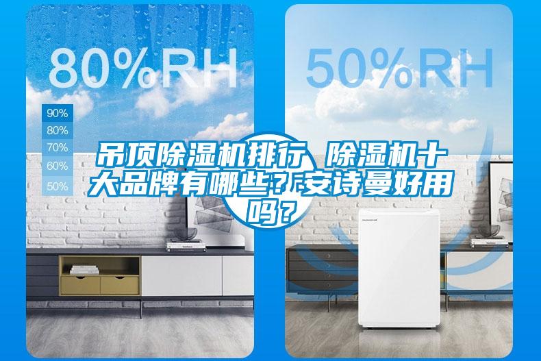 吊頂除濕機排行 除濕機十大品牌有哪些？安詩曼好用嗎？