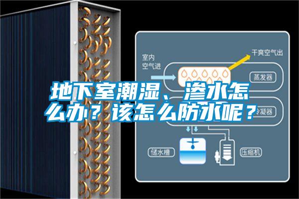 地下室潮濕、滲水怎么辦？該怎么防水呢？