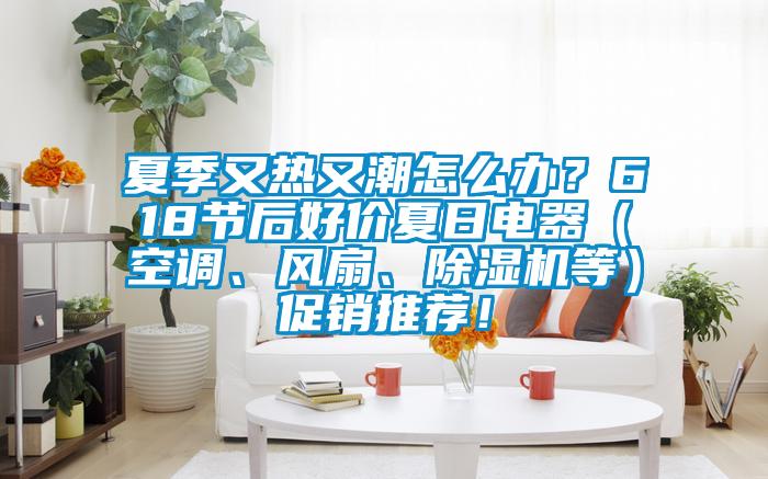 夏季又熱又潮怎么辦？618節后好價夏日電器（空調、風扇、除濕機等）促銷推薦！