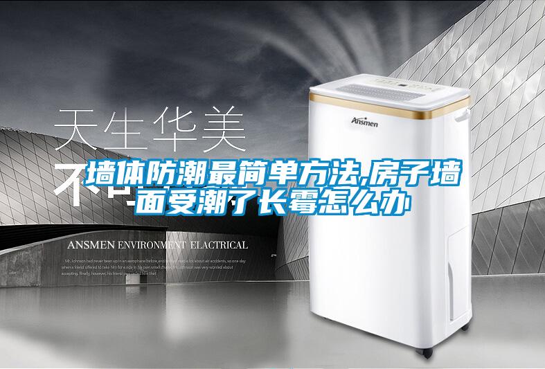 墻體防潮最簡單方法,房子墻面受潮了長霉怎么辦