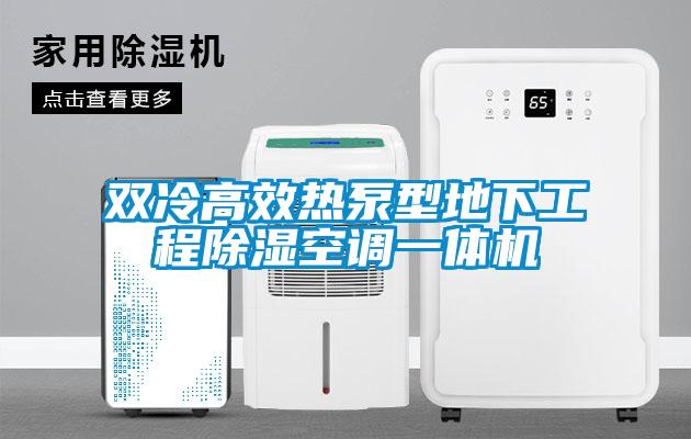 雙冷高效熱泵型地下工程除濕空調一體機