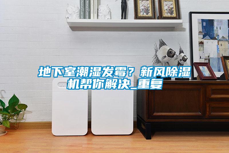 地下室潮濕發霉？新風除濕機幫你解決_重復