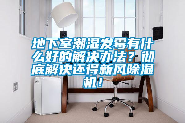 地下室潮濕發霉有什么好的解決辦法？徹底解決還得新風除濕機！