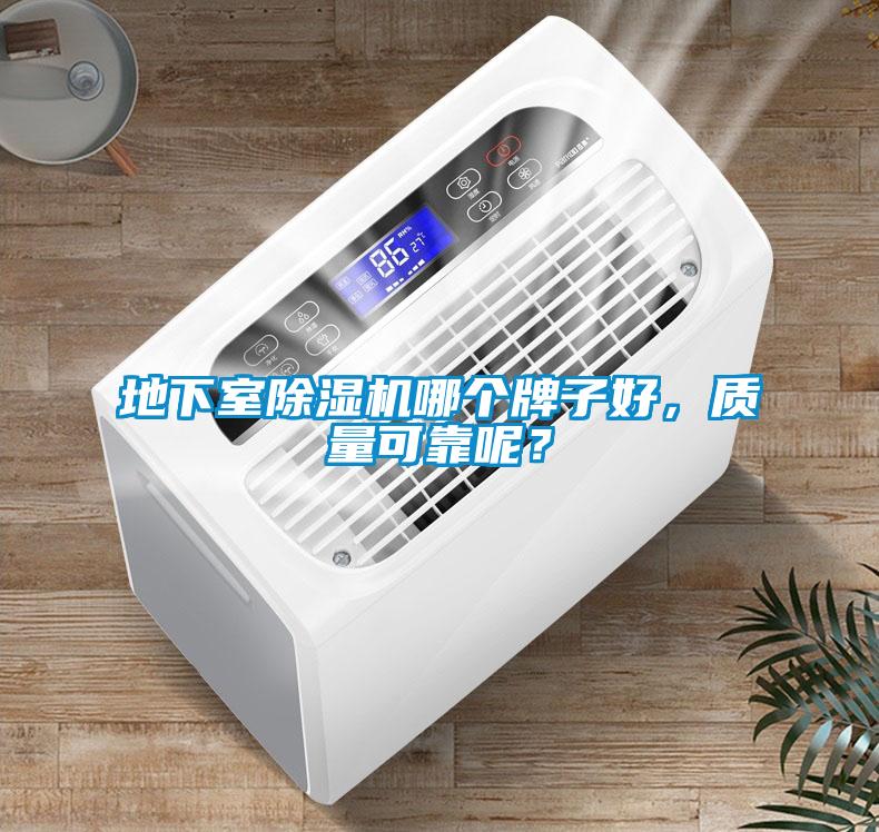 地下室除濕機哪個牌子好，質量可靠呢？
