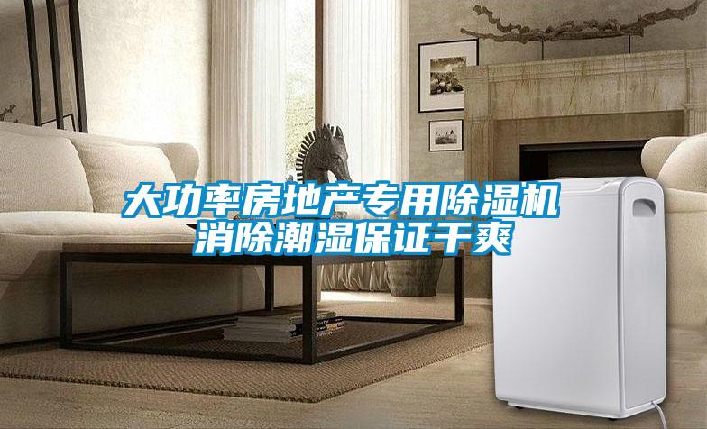 大功率房地產專用除濕機 消除潮濕保證干爽