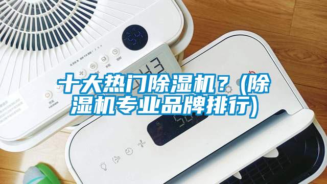 十大熱門除濕機？(除濕機專業品牌排行)