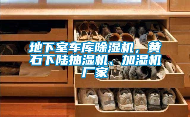 地下室車庫除濕機(jī)，黃石下陸抽濕機(jī)、加濕機(jī)廠家