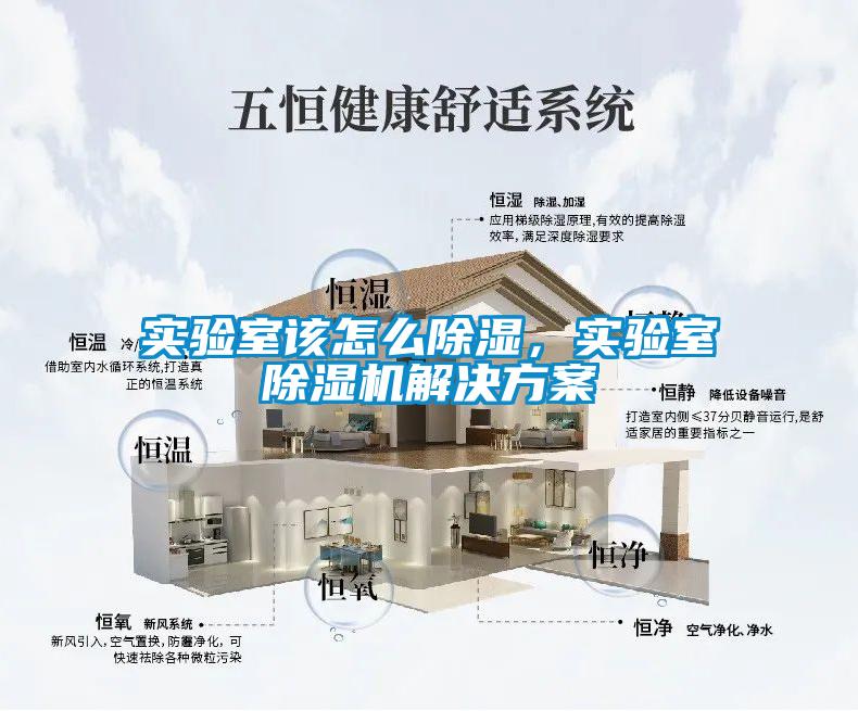 實驗室該怎么除濕，實驗室除濕機解決方案