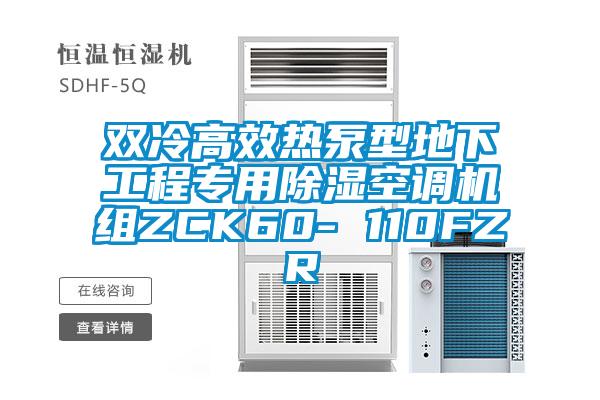 雙冷高效熱泵型地下工程專用除濕空調(diào)機(jī)組ZCK60- 110FZR