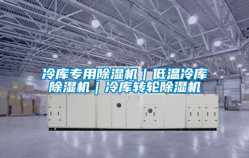 冷庫專用除濕機｜低溫冷庫除濕機｜冷庫轉(zhuǎn)輪除濕機