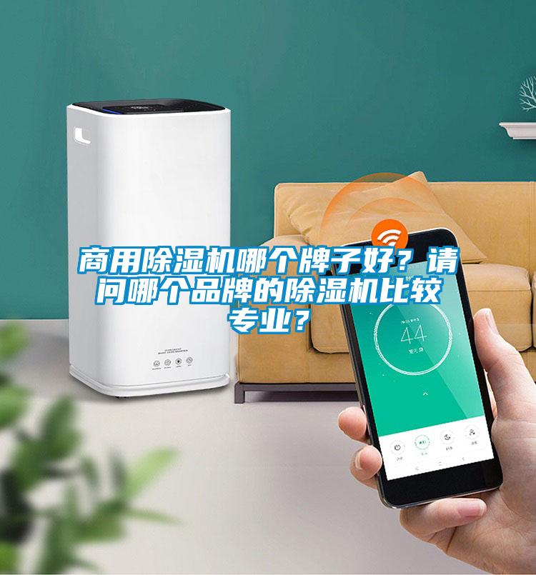 商用除濕機哪個牌子好？請問哪個品牌的除濕機比較專業？