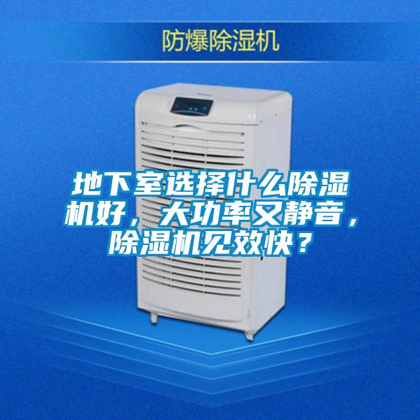 地下室選擇什么除濕機好，大功率又靜音，除濕機見效快？