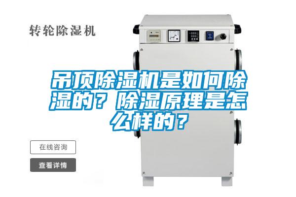 吊頂除濕機是如何除濕的？除濕原理是怎么樣的？