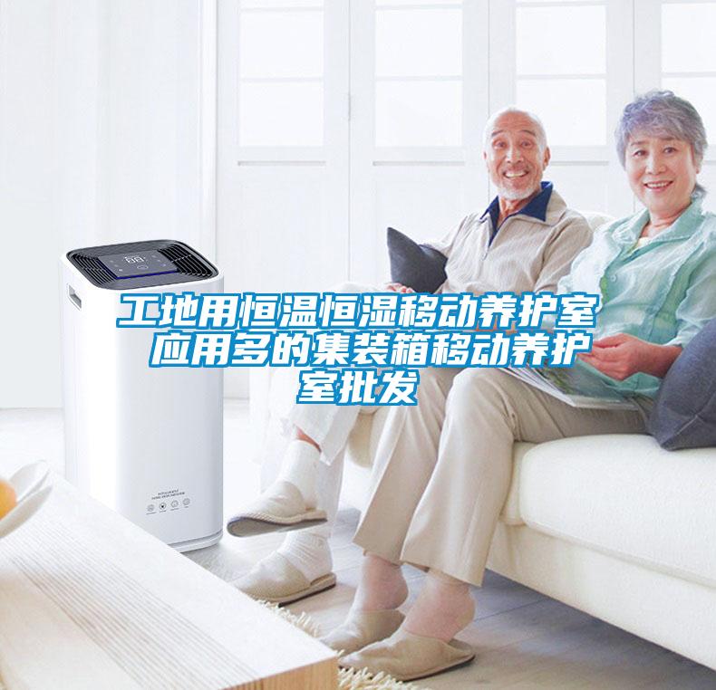 工地用恒溫恒濕移動養護室 應用多的集裝箱移動養護室批發