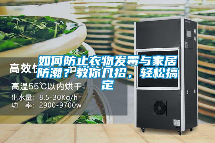 如何防止衣物發霉與家居防潮？教你幾招，輕松搞定