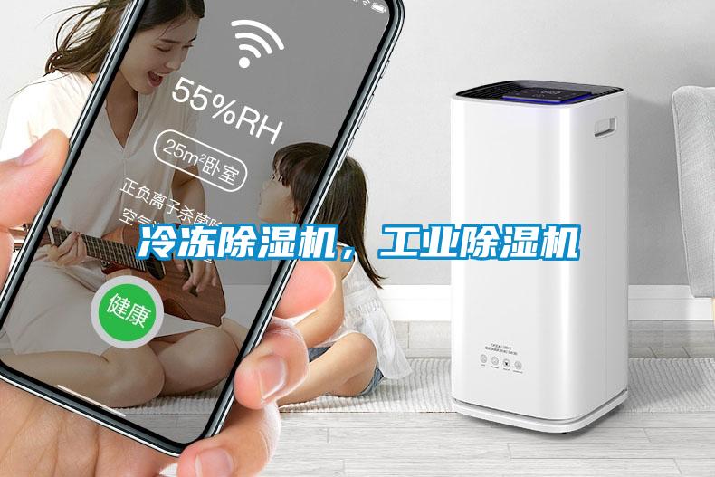 冷凍除濕機，工業(yè)除濕機