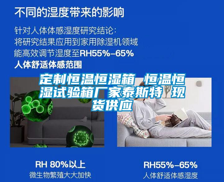定制恒溫恒濕箱 恒溫恒濕試驗箱廠家泰斯特 現貨供應