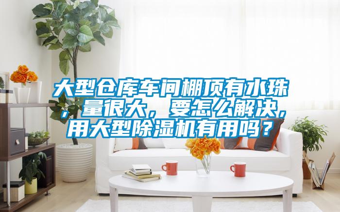 大型倉庫車間棚頂有水珠，量很大，要怎么解決，用大型除濕機有用嗎？