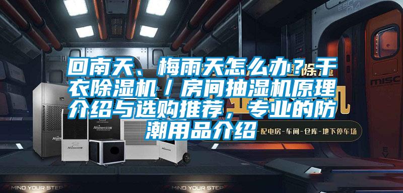 回南天、梅雨天怎么辦？干衣除濕機／房間抽濕機原理介紹與選購推薦，專業的防潮用品介紹